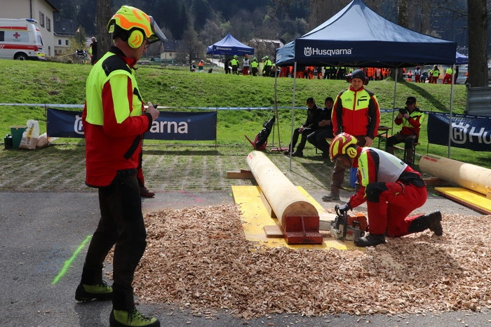 1. Bewerb: Simulierte Baumfällung