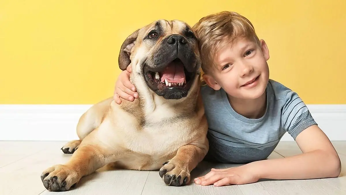 Cute little child with his dog near color wall