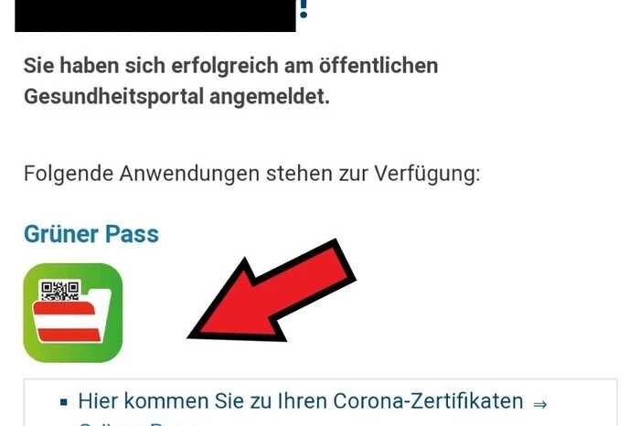 2. Schritt: Auf den Button "Grüner Pass" klicken