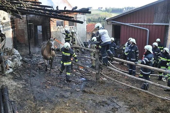 Am 10. April war in St. Ruprecht ein Wirtschaftsgebäude abgebrannt. Das zunächst gerettete Pferd verendete. Eine technische Brandursache kann ausgeschlossen werden.
