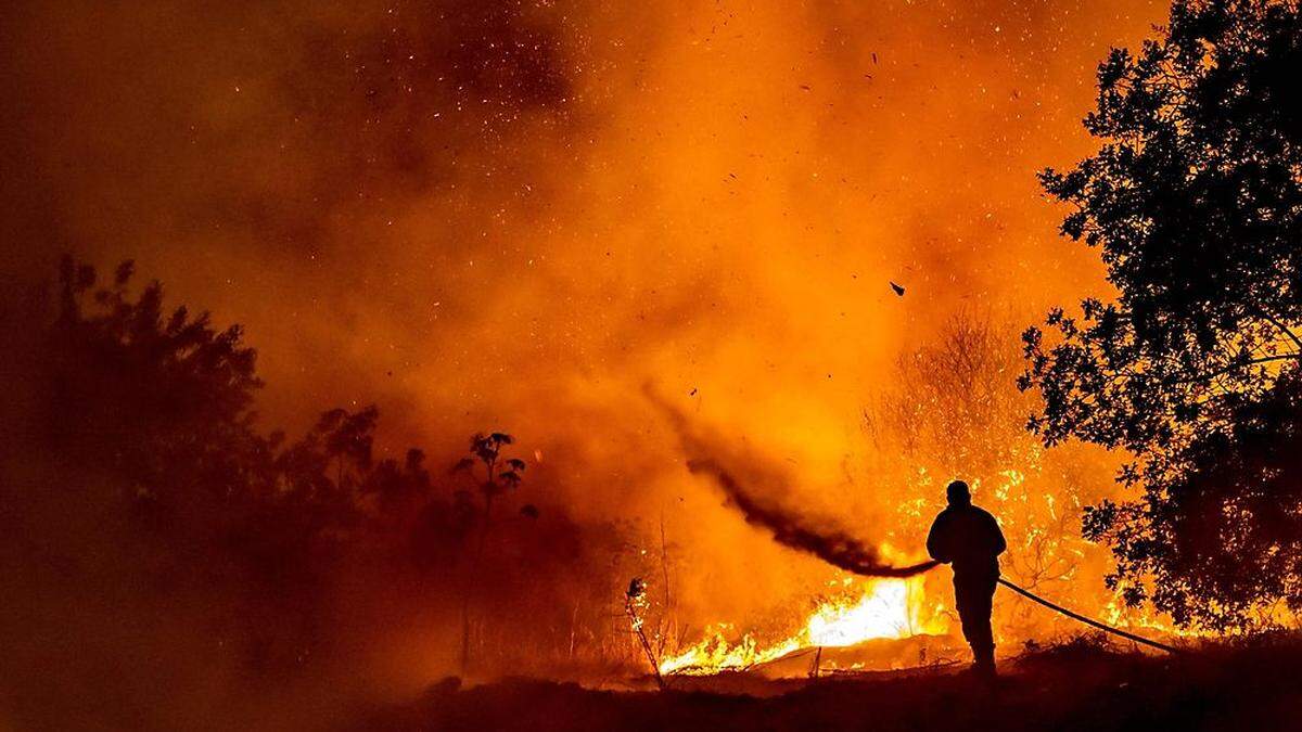 Das Feuer war nach anhaltender Trockenheit und mehrtägiger starker Hitze im Nordosten der Hafenstadt Limassol ausgebrochen