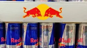 Red Bull beschäftigt in Österreich rund 1700 Mitarbeiterinnen und Mitarbeiter