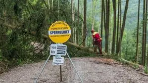 Foto zeigt ein Warnschild, dahinter ein Forstarbeiter, der gerade einen Baumstamm zersägt