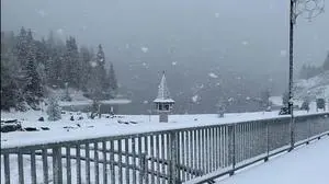 Dicke Schneeflocken fielen am Montag auf der Turracher Höhe vom Himmel