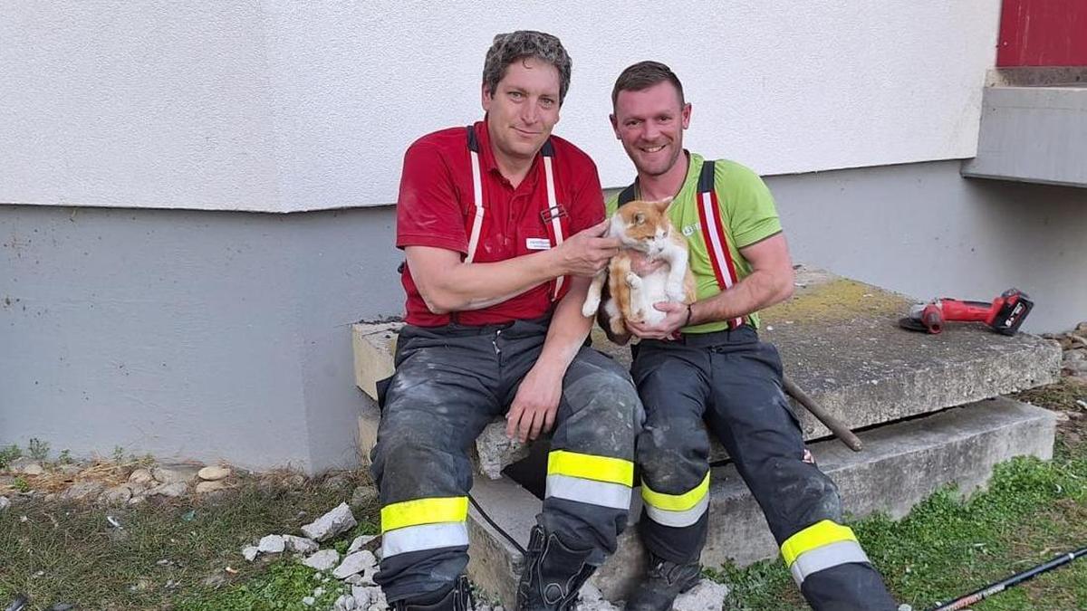 Zwei Feuerwehrmänner mit dem geretteten Kater Moritz