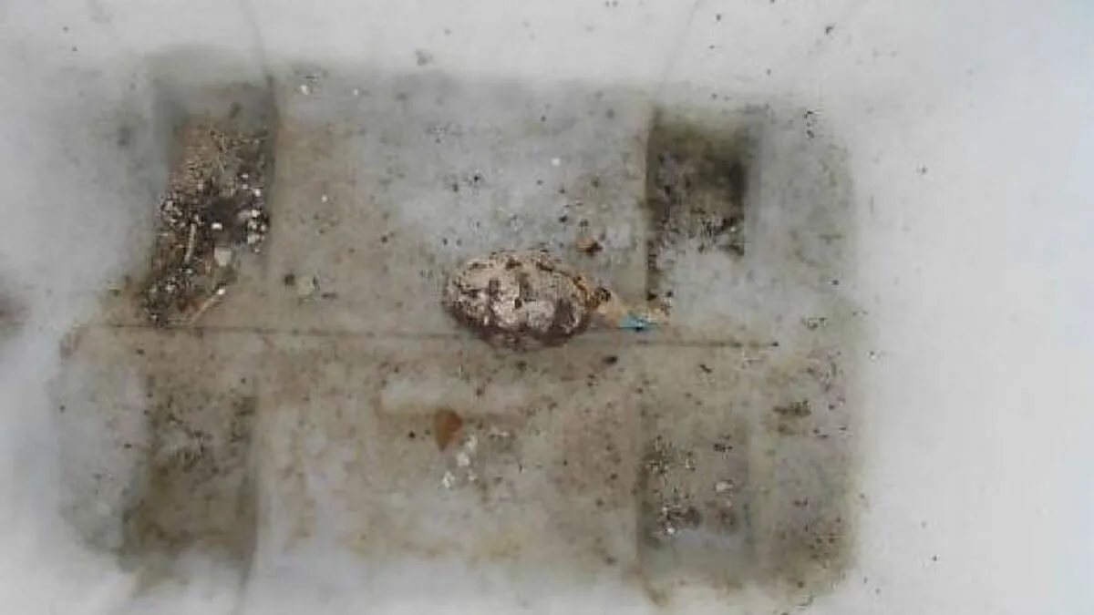 Finder legte das Kriegsrelikt in  Plastikbehälter und brachte ihn auf freie Fläche