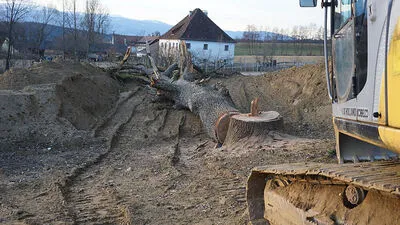 Bei Nacht und Nebel geschlägert