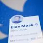 Elon Musk führte "Twitter Blue" ein