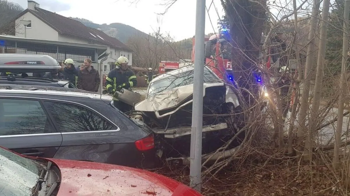 Nach dem Anprall gegen die Baumgruppe wurde das Fahrzeug laut Exekutive gegen mehrere abgestellte Pkw geschleudert