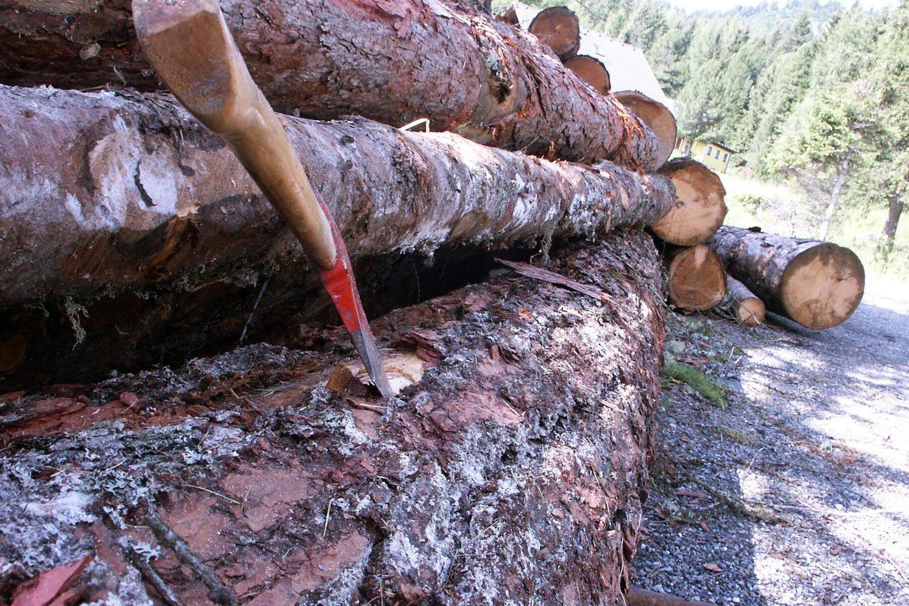 In Matrei in Osttirol | 72-Jähriger stürzte bei Holzarbeiten 30 Meter ab und rief nach Hilfe