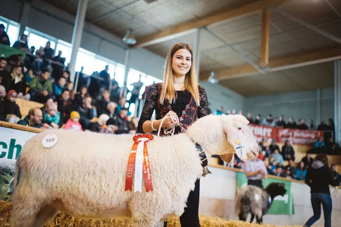 Eines davon führte Claudia Waldner durch die RGO-Arena.