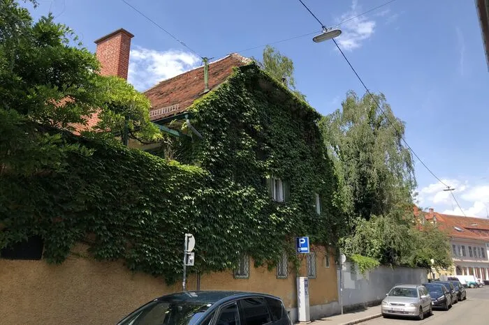 Unweit davon grünt es auch in der Feuerbachgasse.