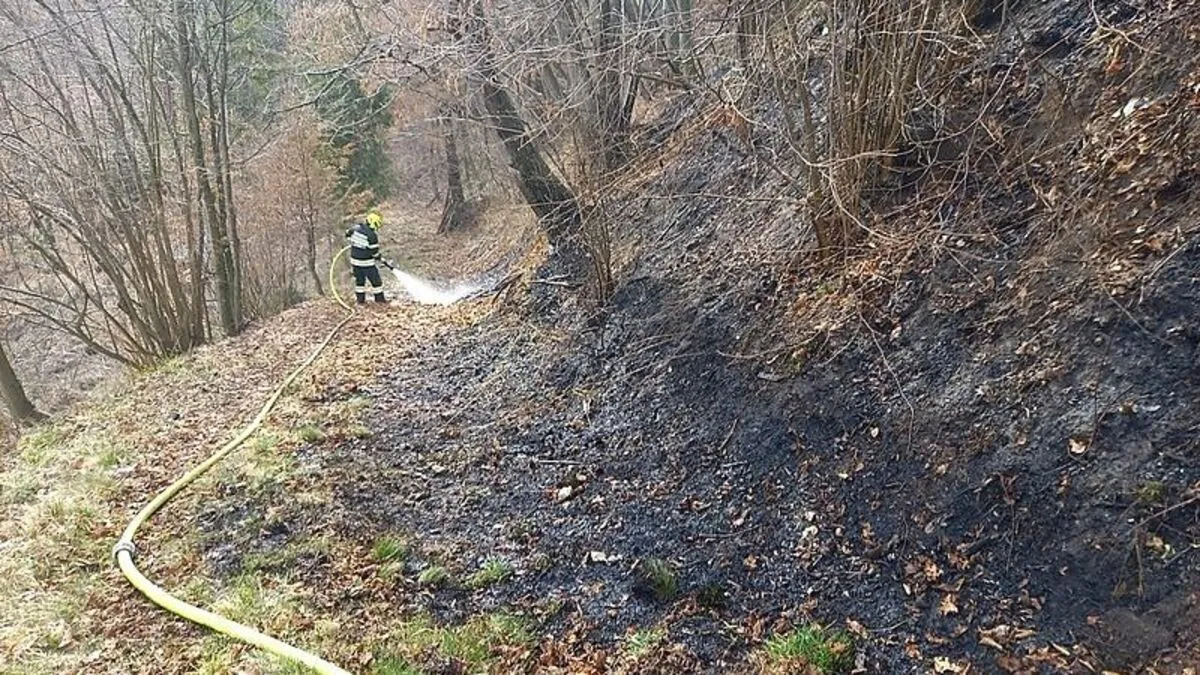Das Feuer breitete sich auf dem Waldboden aus