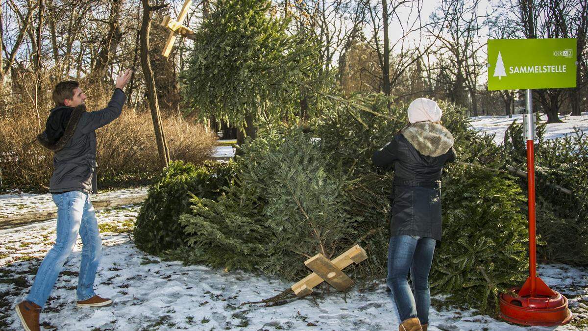 Alleine in der Landeshauptstadt Graz gibt es 77 Sammelstelle für Christbäume