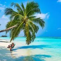 Strandansicht von den Malediven. „Ein Evergreen bei Fernreisen“