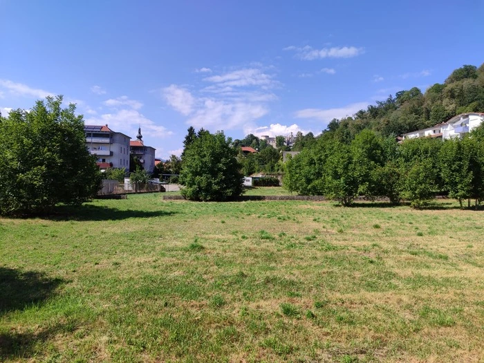 Grün-in-grün und freier Blick bis zum Schloss – noch?