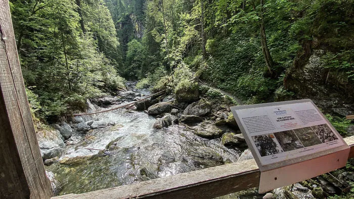 Die Brücke über die Donnersbachklamm