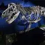 Rätsel um Tyrannosaurus rex gelöst