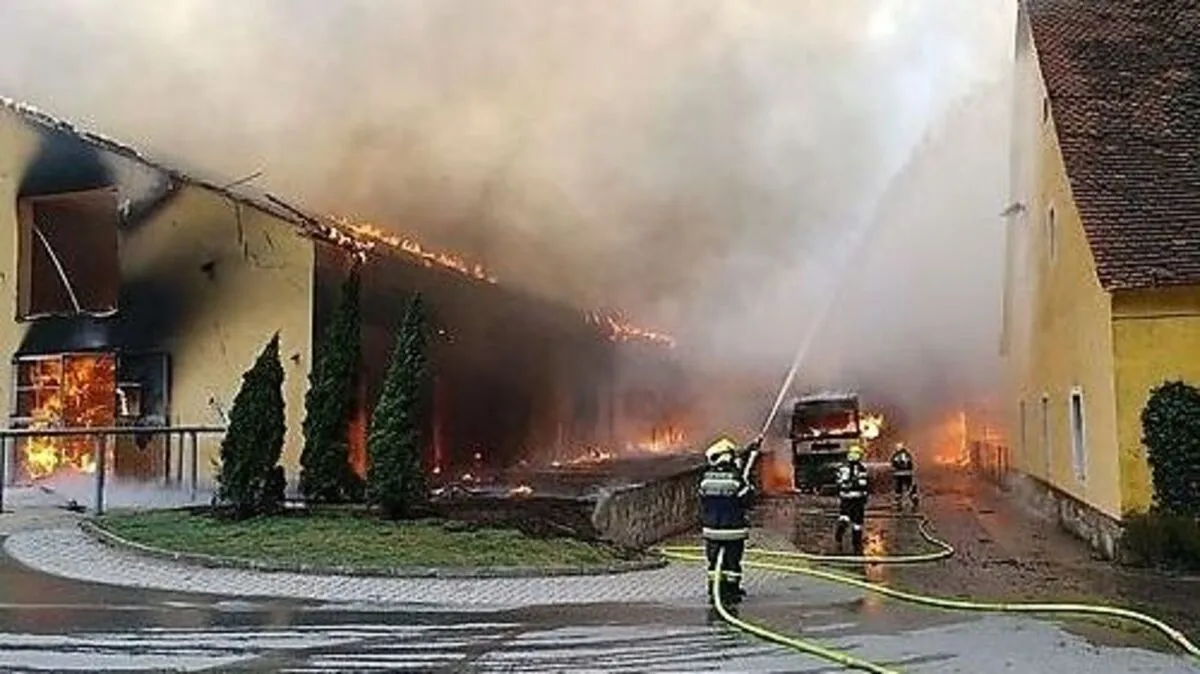 Beim Brand in einem Reitstall in Seggauberg kamen mehrere Pferde ums Leben