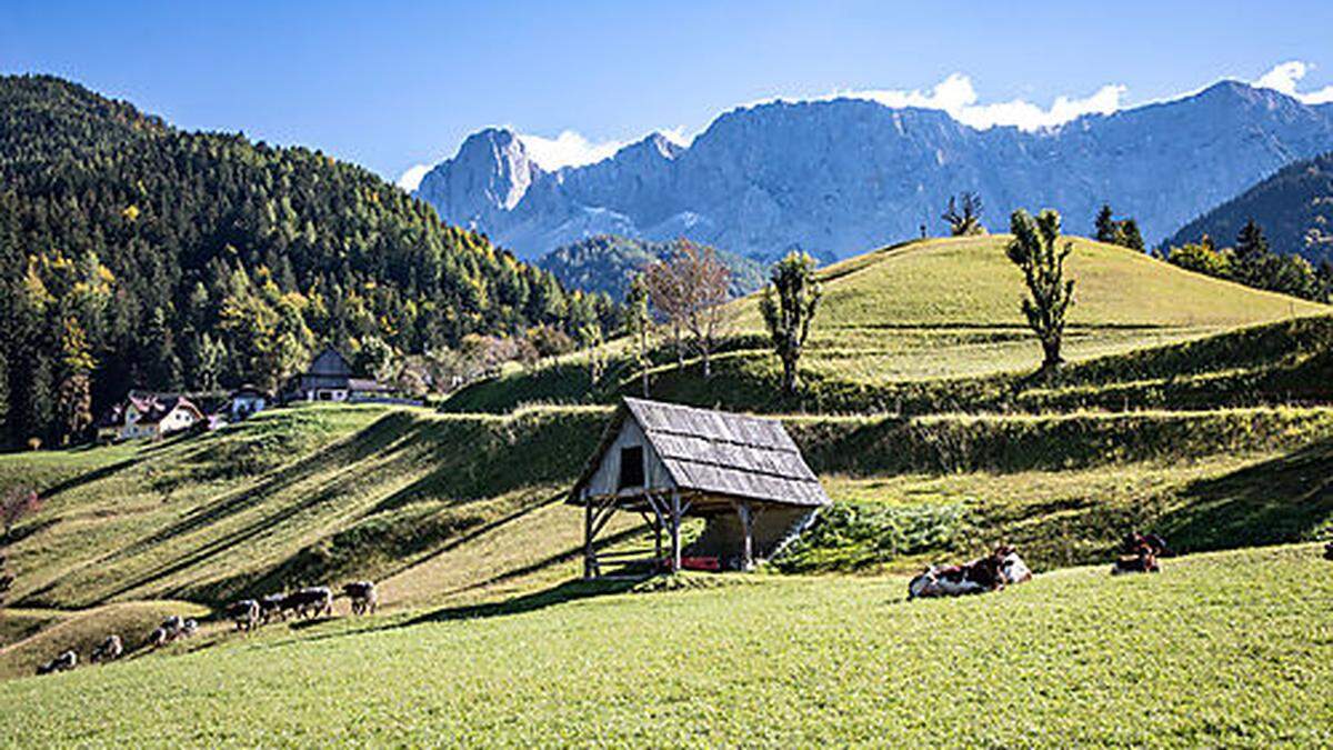 Der Name der Koschuta verweist auf die großen Hirschbestände bei Ebriach