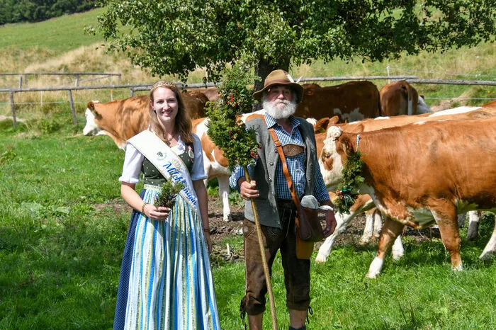 Zur Mittagszeit traf das mit "Hoamfohrglocken" und Kränzen prächtig geschmückte Almvieh ein. An die 100 Stück Vieh verbrachten den Sommer auf der Gaalwald-Alm, ehe sie den 15-Kilometer-Marsch bis zum VW-Käfermuseum und dann weiter zu den Heimathöfen antraten.