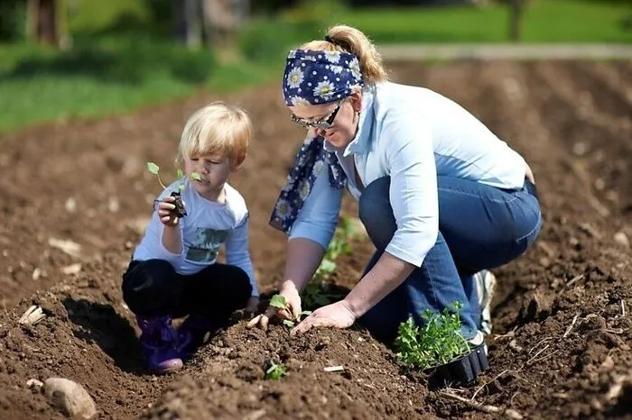 Gostilna Mihovec. Mojca Mihovec (rechts) ist eine Jongleurin der slowenischen Aromen. In der Gostilna Mihovec isst man unter schattigen Kastanienbäumen. Die Produkte stammen aus der eigenen Biolandwirtschaft. Zgornje Pirnice 54, 1215 Medvode.