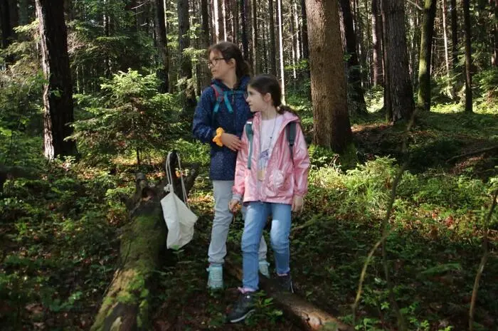 Viel Spaß mit den Fotos von den Waldspielen.