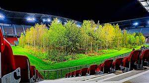 Bis 22 Uhr können Besucher noch den Wald im Stadion bestaunen. Wenn es dunkel wird sogar unter Flutlicht