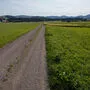 Hier würde, etwa entlang dieses Weges, die Südspange zur B64 im Hintergrund verlaufen