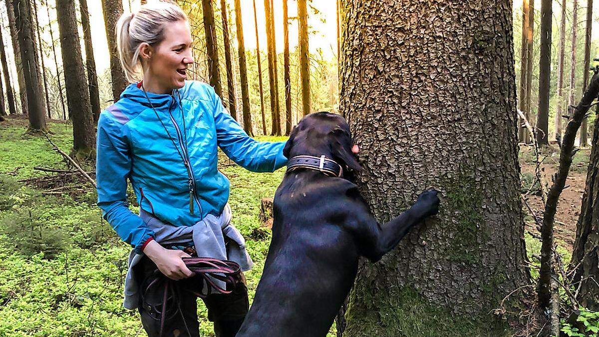 Sandra Cresnar mit ihrem Labrador-Rüden Yaris beim Training für das Aufspüren von Borkenkäfern