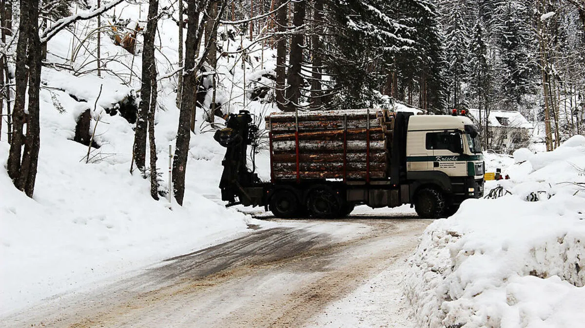 Die Waldbauern in Bad Eisenkappel versuchen, die Sturmschäden so rasch wie möglich zu beseitigen