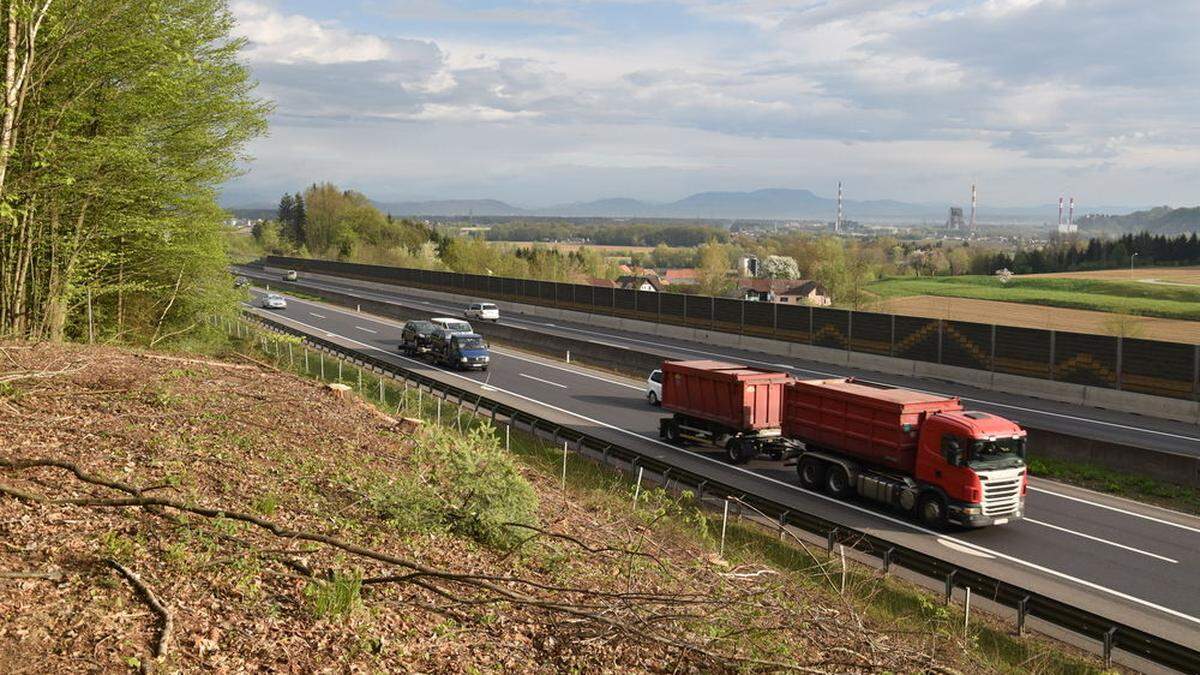 Die gerodeten Bäume lassen bereits erkennen, wo die Rampen entstehen werden