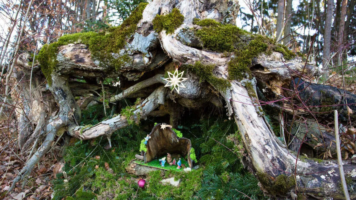 Winzig kleine Krippe