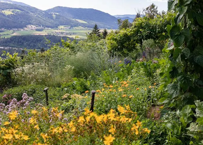 Der Garten am Lorenzenberg