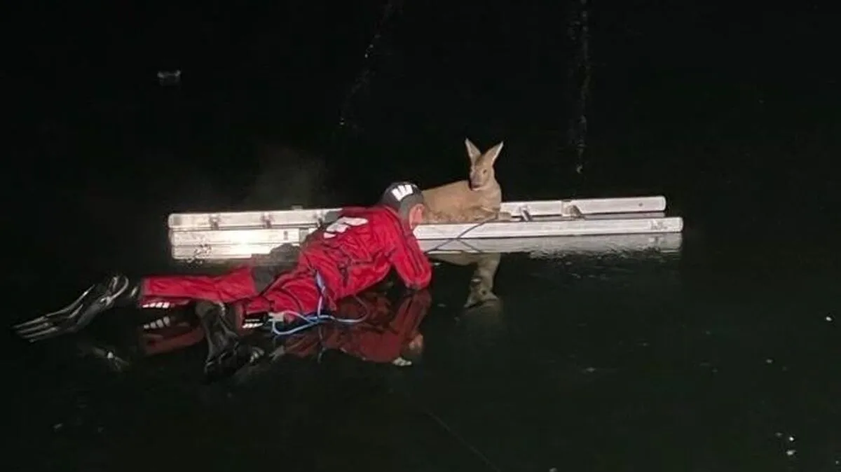 Die Feuerwehr befreite mit Rettungstauchern das Reh vom zugefrorenen Teich.