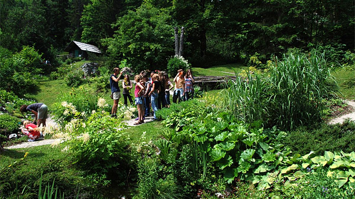 Alpengarten Bad Aussee feiert 100. Geburtstag