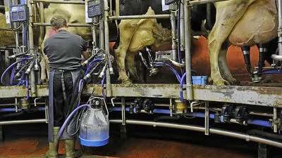 Die Maßnahme der EU soll helfen, die Milchpreise wieder anzukurbeln