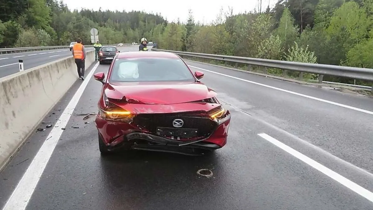 Die Feuerwehr Pinggau war mit elf Mann im Einsatz