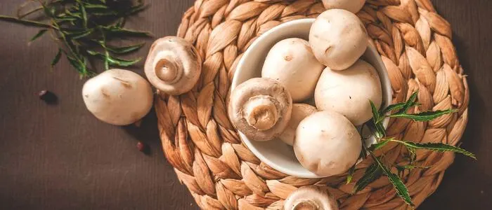 Symbolbild Rindsragout mit Champignons | Symbolbild Rindsragout mit Champignons