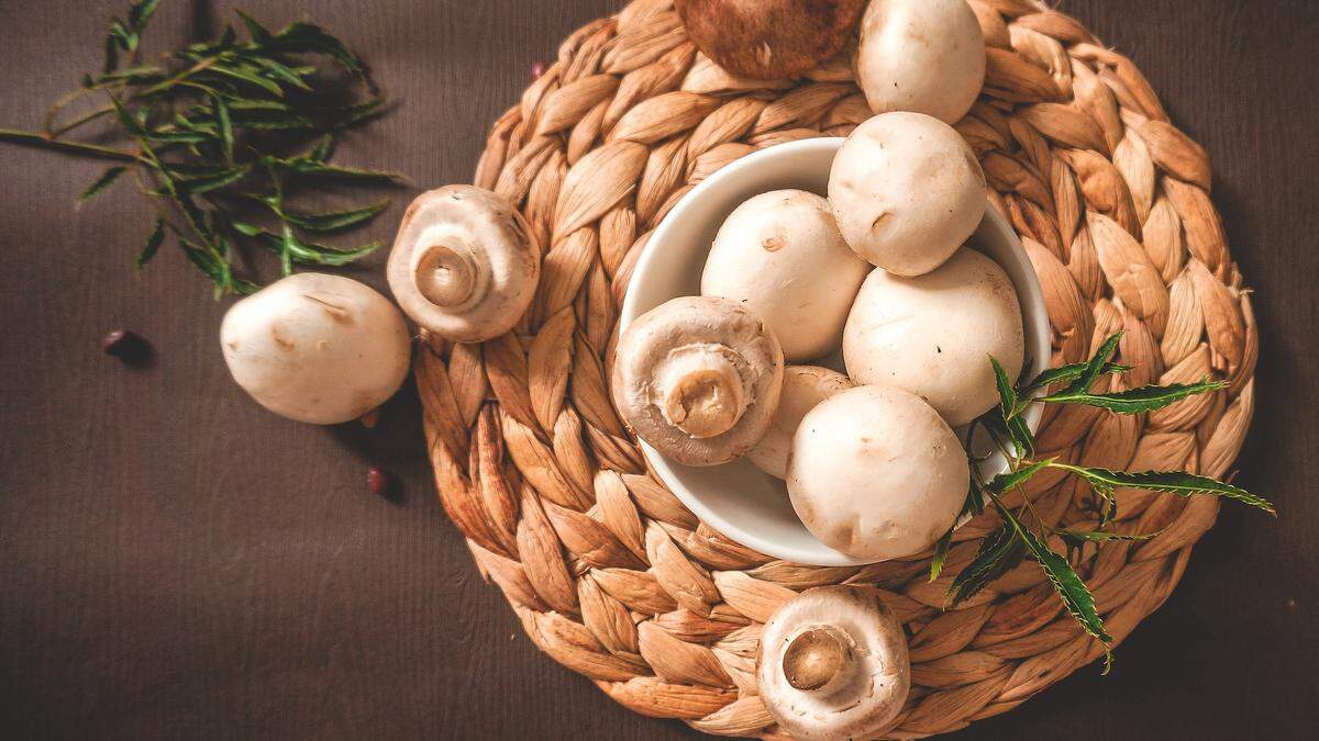 Symbolbild Rindsragout mit Champignons | Symbolbild Rindsragout mit Champignons