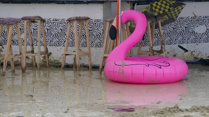 Dieser Wüstenflamingo scheint sich trotz des Wassers nicht allzu wohl zu fühlen.