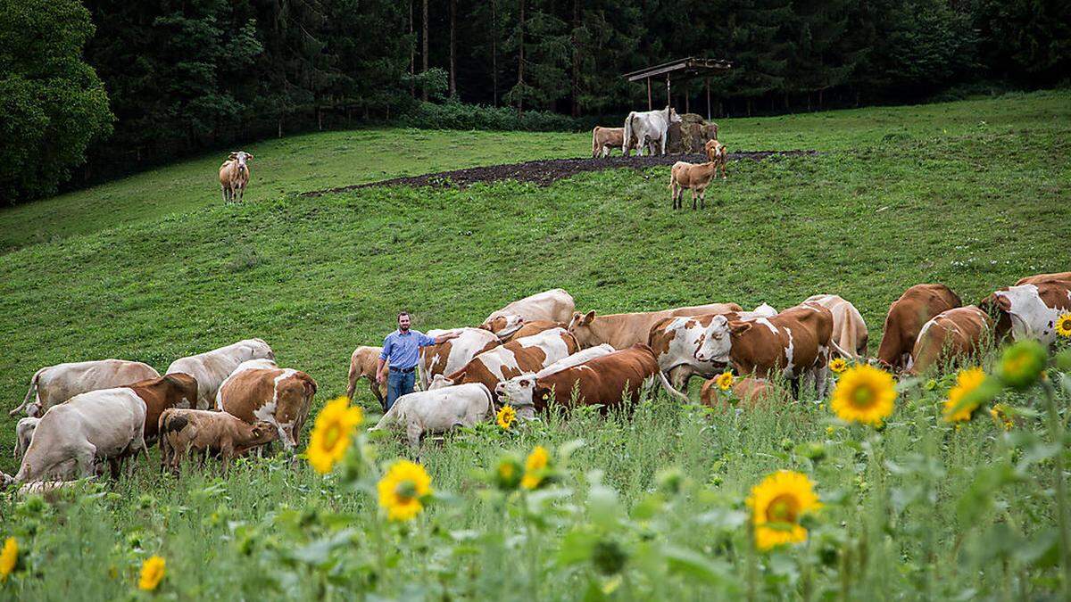 Für ein friedliches Miteinander müssen Wanderer gewisse Regeln befolgen