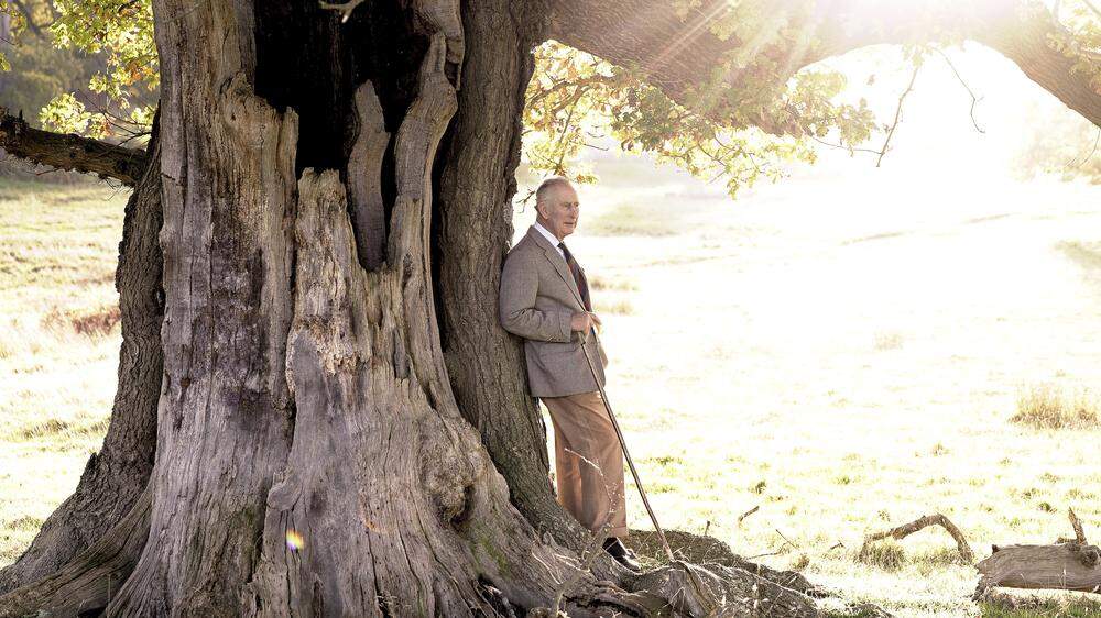 Auf dem offiziellen Geburtstagsfoto von Charles III. lehnt er an einem dicken Baumstamm in Windsor Great Park