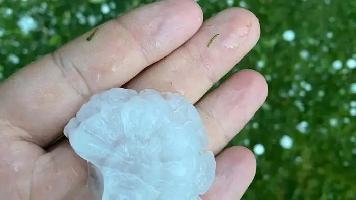 Riesige Hagelkörner gingen in Gersdorf gegen 20 Uhr nieder.