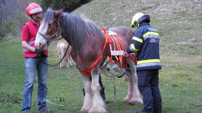 Klicken Sie sich durch die Bilder der Feuerwehrübung!