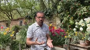 Karl Ploberger bei der Tulpen-Kunde