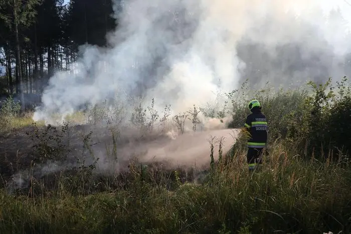 Beginnender Waldbrand in Sachendorf