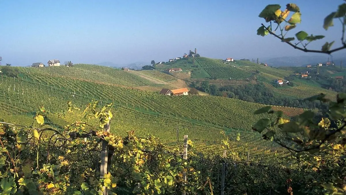 Die südsteirische Kulturlandschaft ist ein "Sehnsuchtsort"