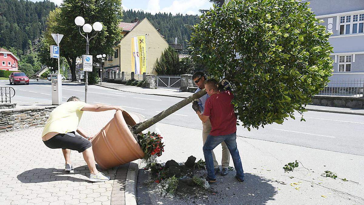 Unbekannte zogen Spur der Verwüstung