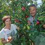 Elisabeth und Josef Knaller aus Puch starten mit der Ernte 